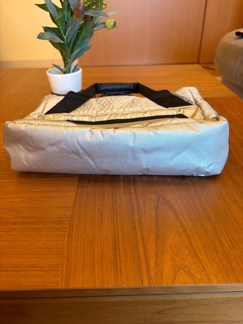 Ralph Lauren RLX ラルフローレン ゴルフ カートバッグ