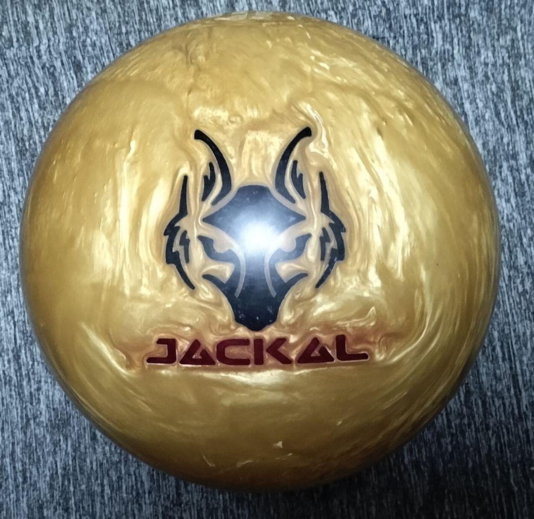 未使用　MOTIV ゴールデンジャッカル 15ポンド