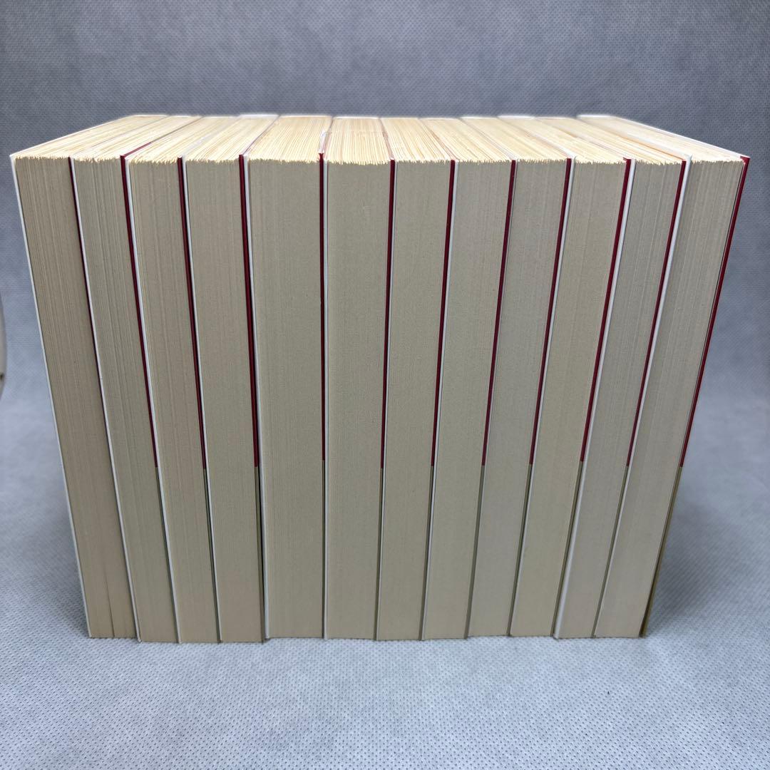 紅楼夢 全十二冊セット