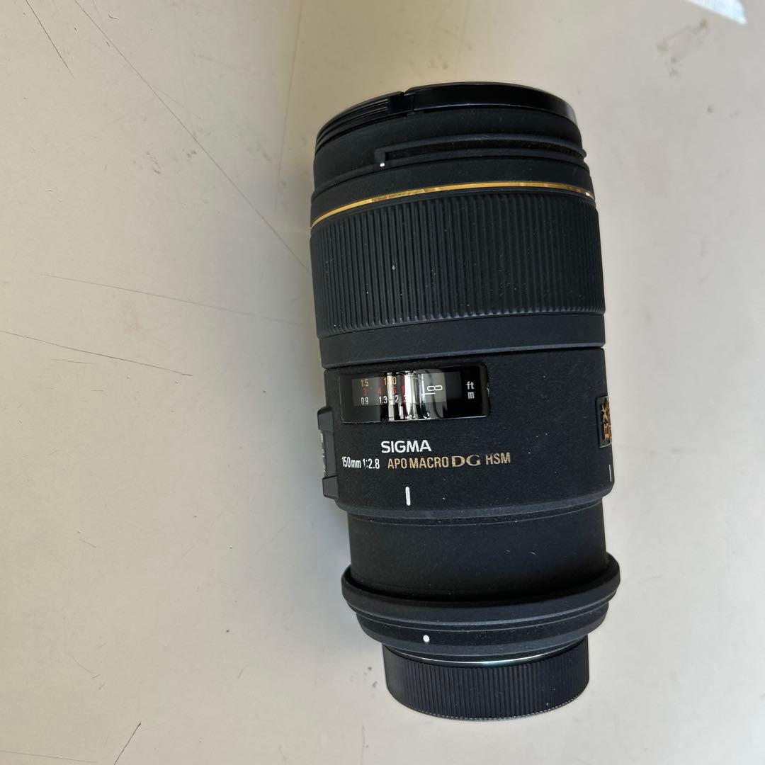 あ*お様 SIGMA 150mm f/2.8 APO MACRO DG HSM