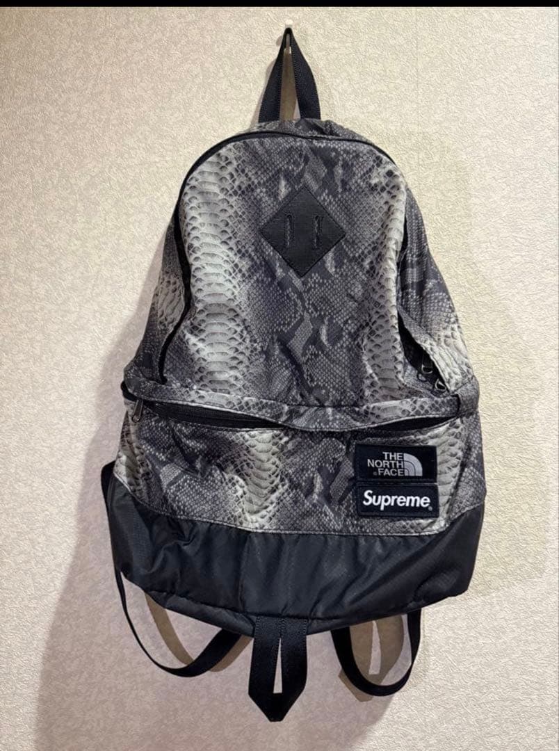 The North Face×Supreme ヘビ柄 リュック