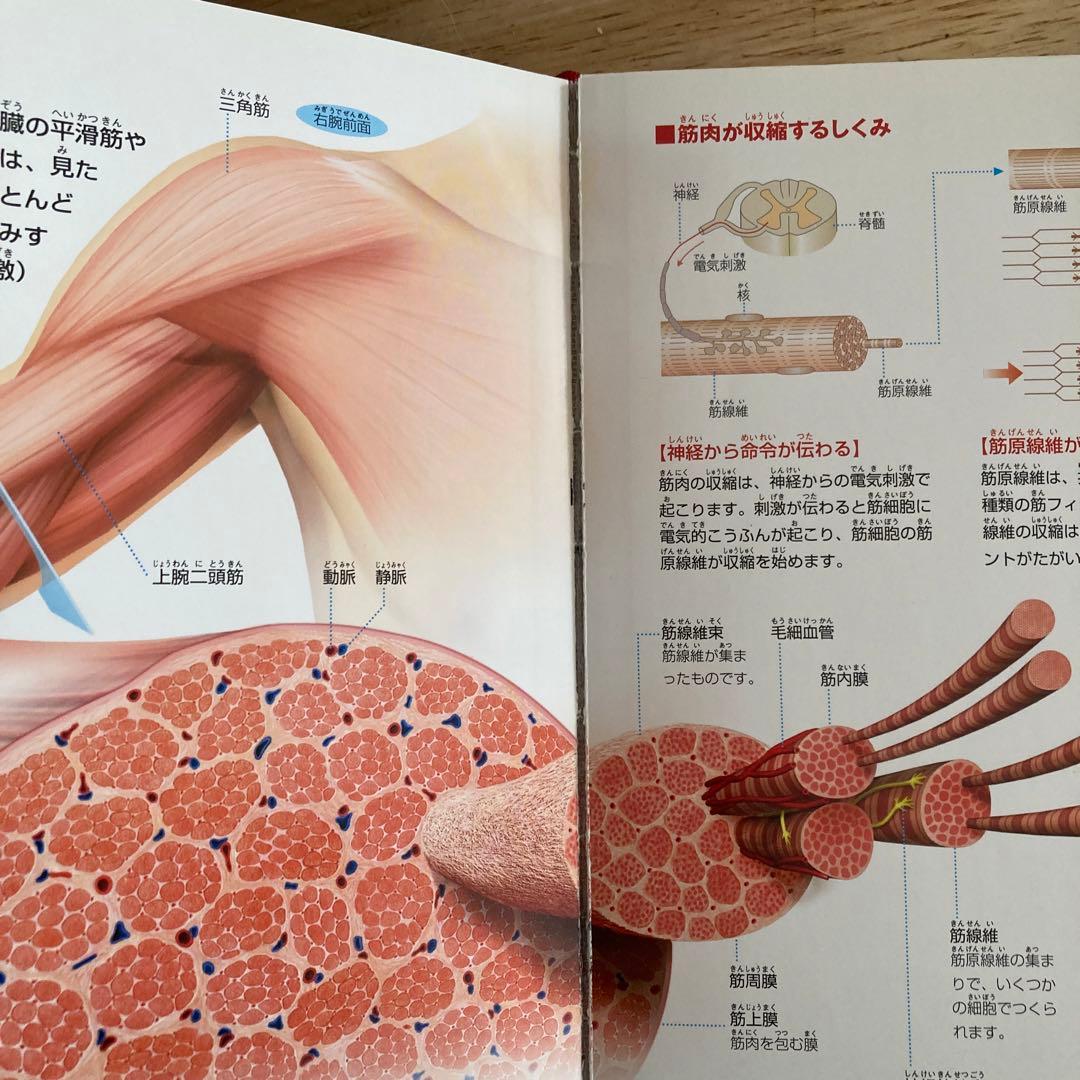 小学館の図鑑 NEO DVD付き 12冊セット