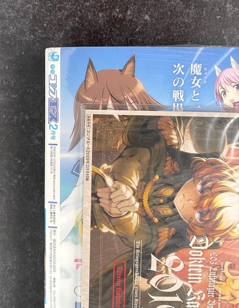 ●コンプエース 2019年 2月号 ●新連載 陰の実力者になりたくて! 逢沢大介