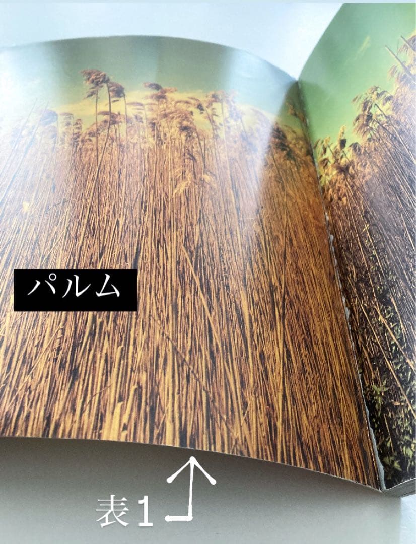 VERSUS 1998 / 99 ヴェルサス　カタログ　写真集