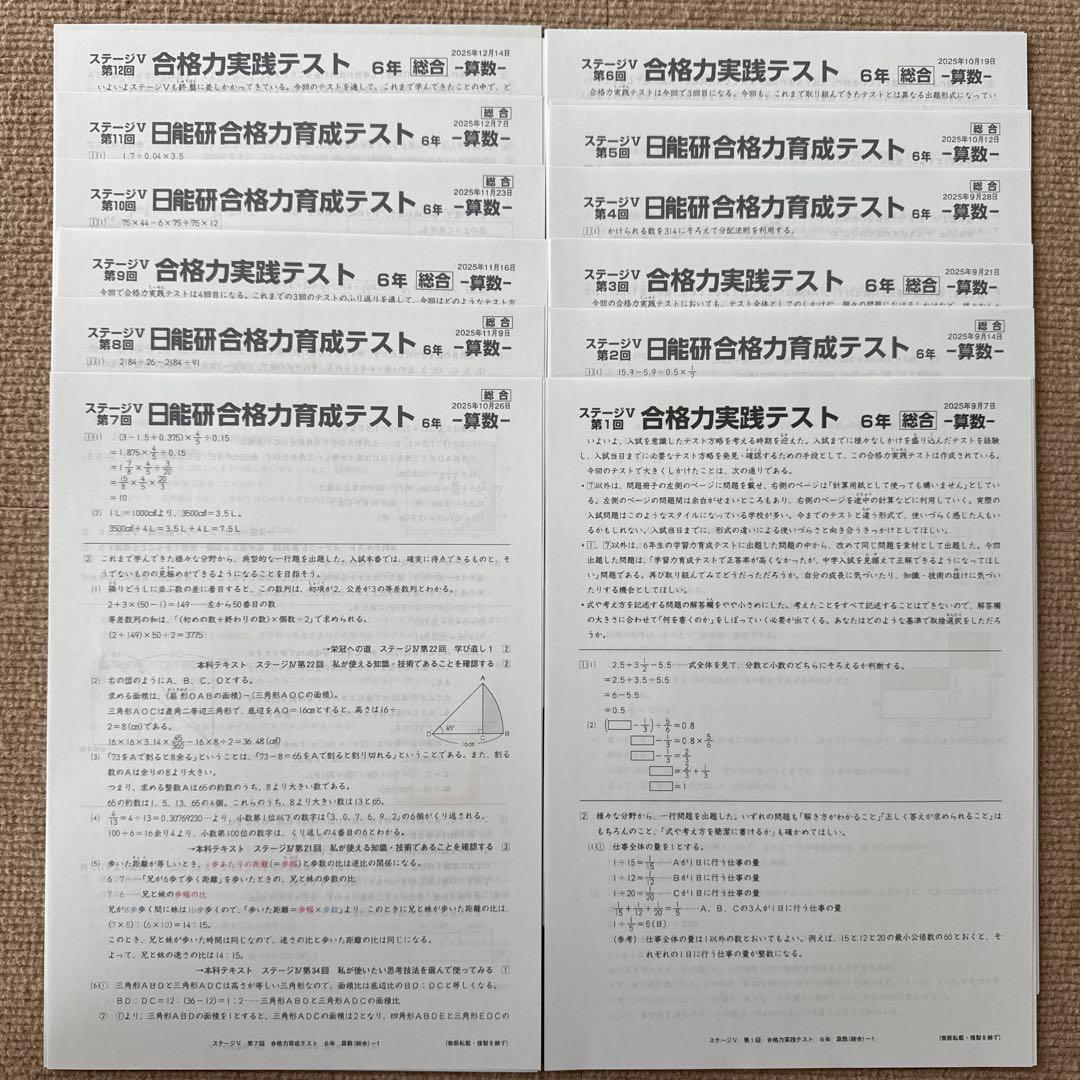 [25年最新] 日能研6年 後期合格力育成 合格力実践テスト12回分(Mクラス)