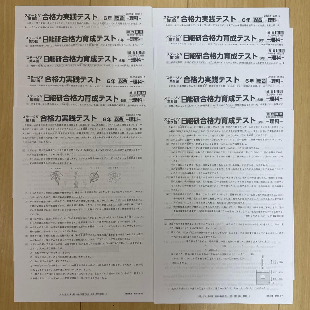 [25年最新] 日能研6年 後期合格力育成 合格力実践テスト12回分(Mクラス)