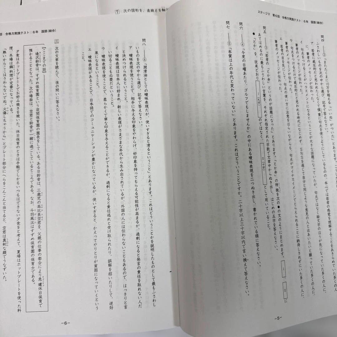 [25年最新] 日能研6年 後期合格力育成 合格力実践テスト12回分(Mクラス)