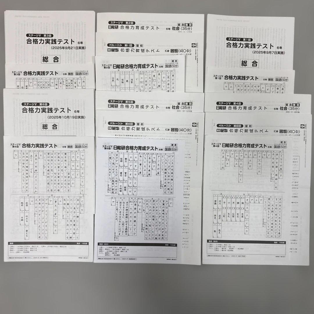 [25年最新] 日能研6年 後期合格力育成 合格力実践テスト12回分(Mクラス)