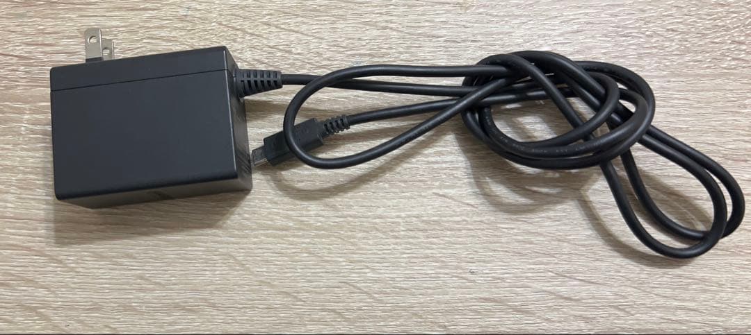 Nintendo Switch Lite ターコイズ 専用ケース・充電器付き