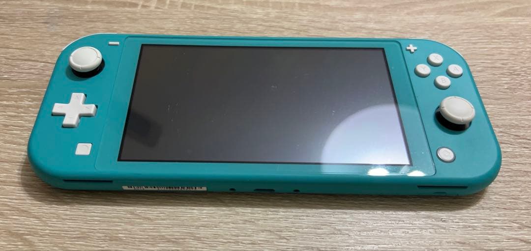 Nintendo Switch Lite ターコイズ 専用ケース・充電器付き