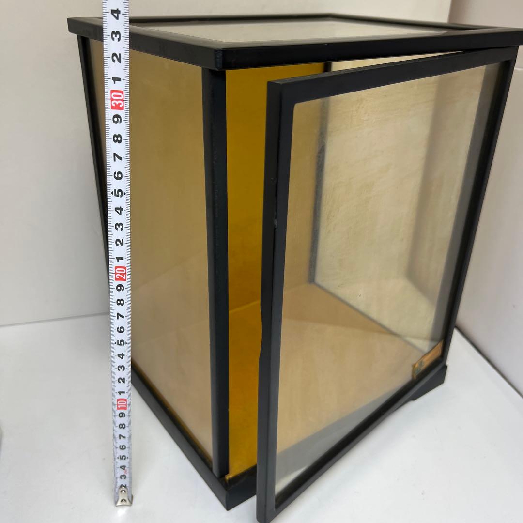 専用　本肉赤珊瑚　ケース付　台込221g 東Y8-0130②トヒトオ