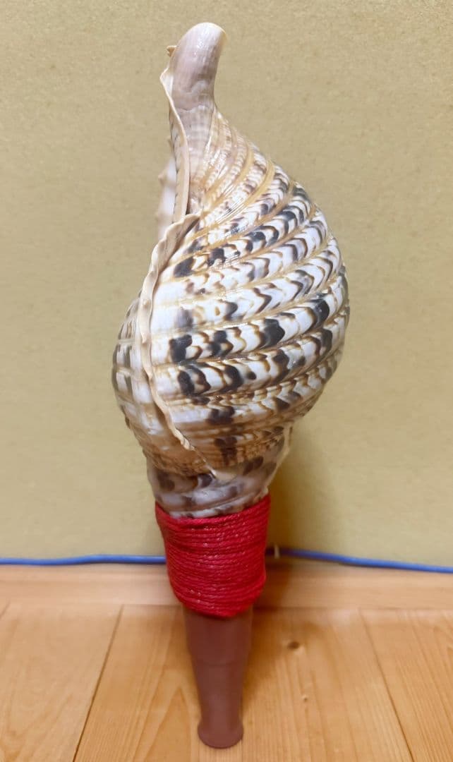 綺麗な最大級の修験道法螺貝44㎝山伏 ホラガイほら貝 熊よけ