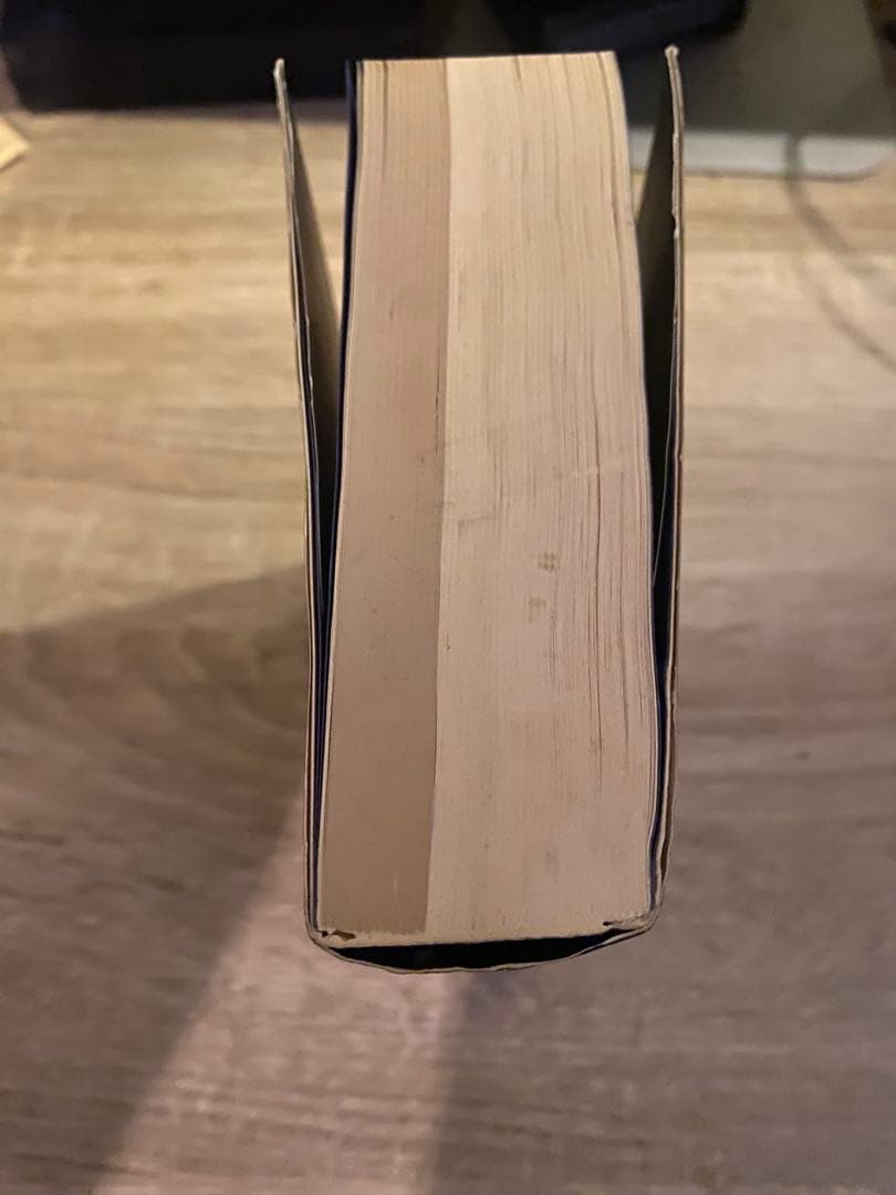 A YEAR Brian Eno ブライアン・イーノ 初版 帯付き