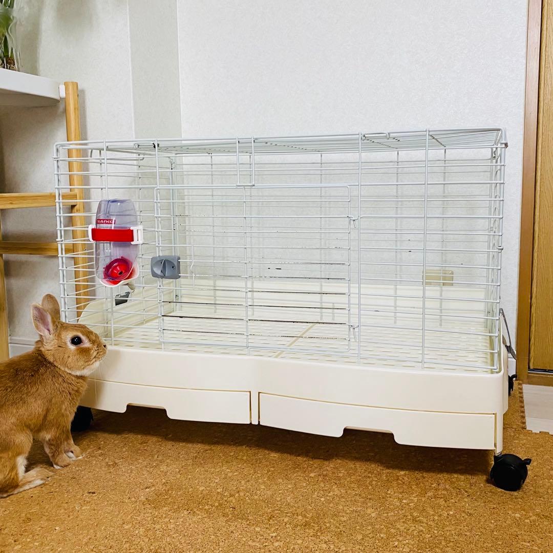 うさぎゲージ　サンコーイージーホームエボ80 白　ホワイト　ゆったり広々　小動物