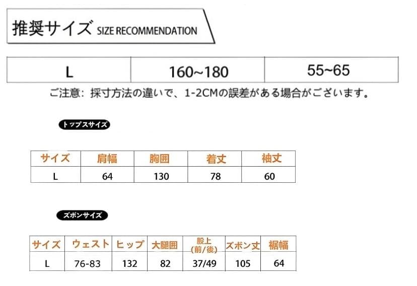 スキーウェア スノーボードウェア セットアップ L 上下セット レディース