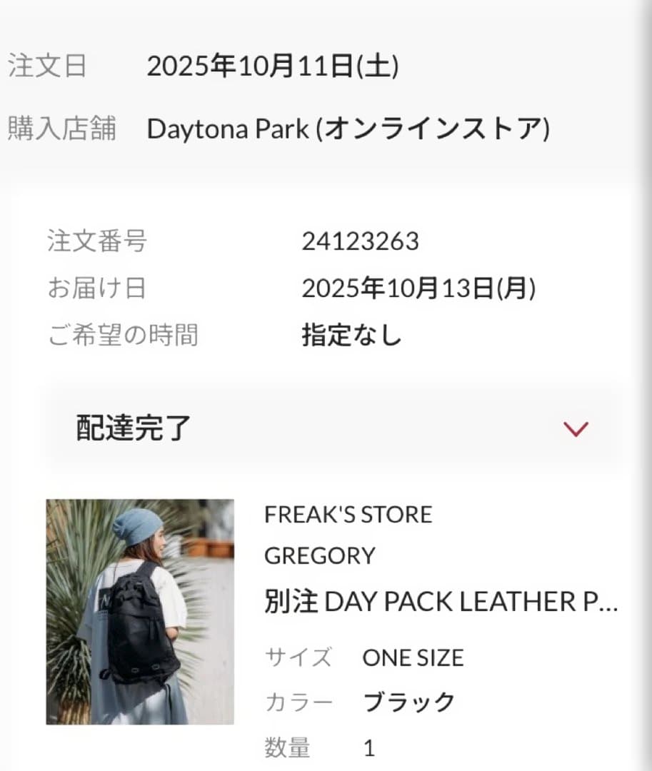 t*m様 Gregory×FREAK'S STORE別注 DAY PACKレザー