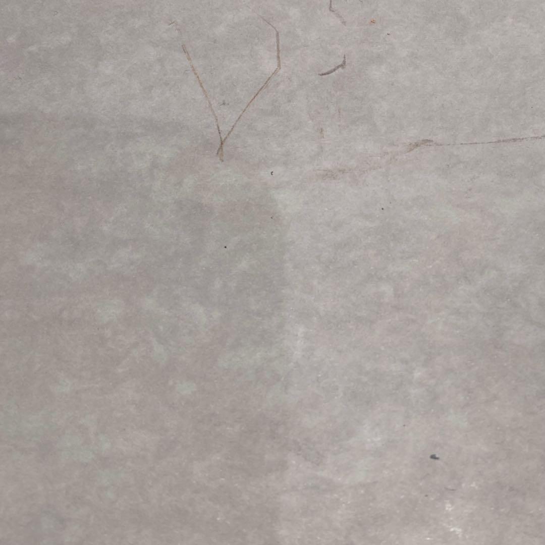 【極美品】ジミーチュウ スター スタッズ ラウンドファスナー 長財布 レザー