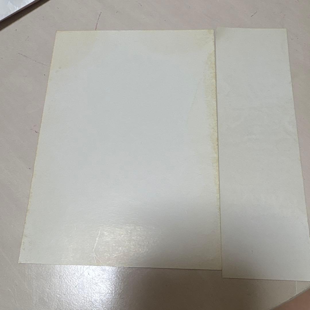 KAMIJO LAREINE 希少