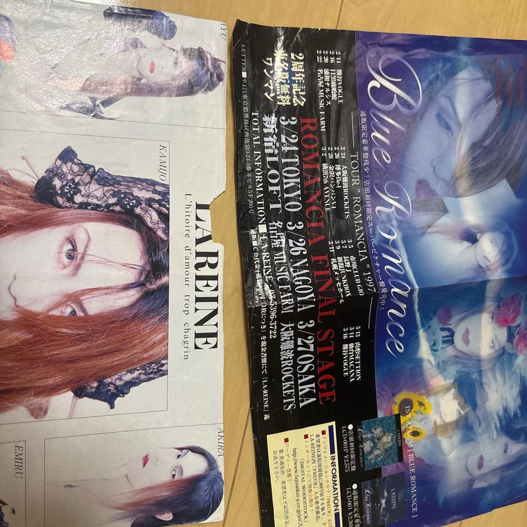 KAMIJO LAREINE 希少