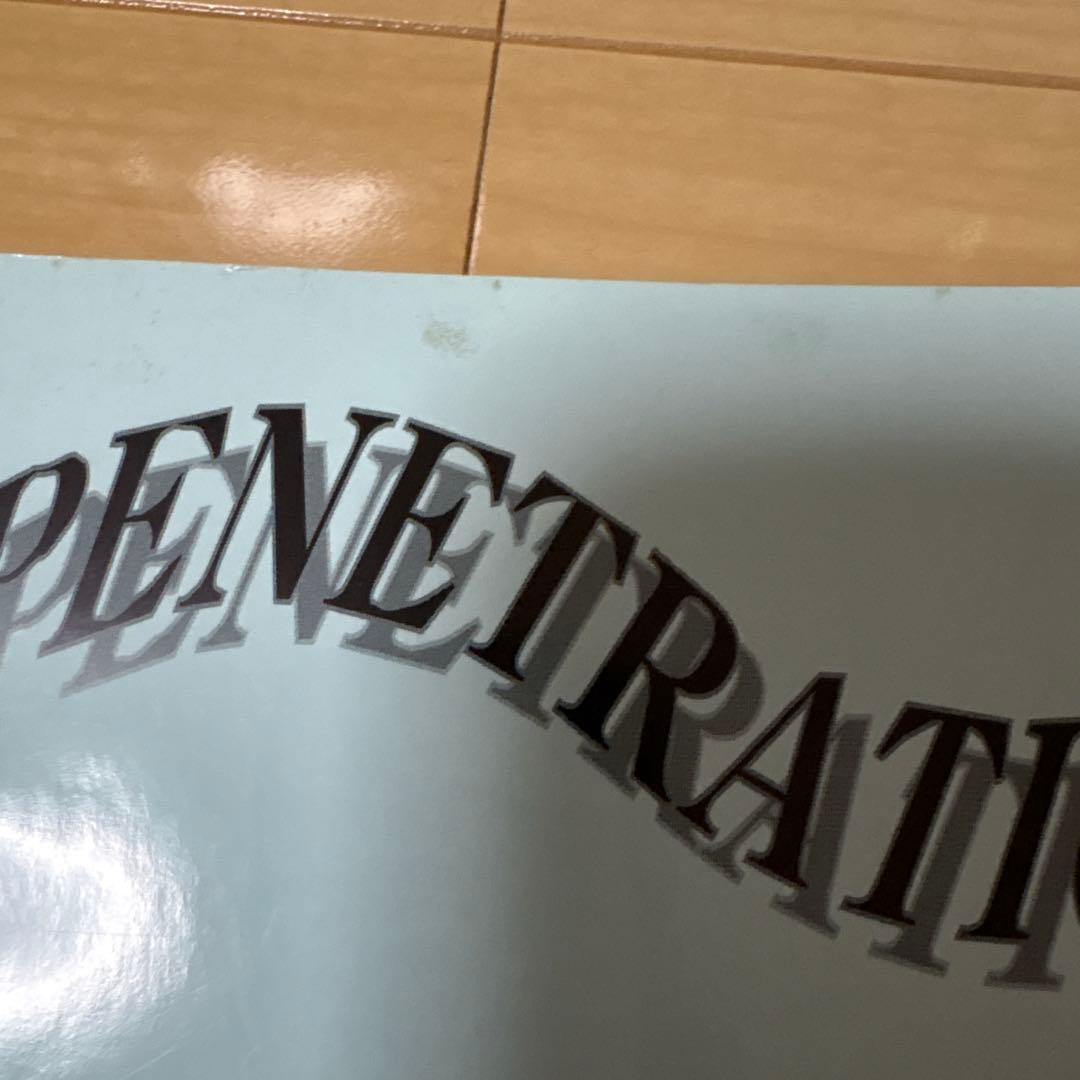 KAMIJO LAREINE 希少