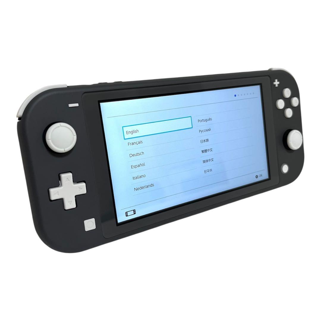 Nintendo Switch Lite グレー 、SDカード（256GB）など