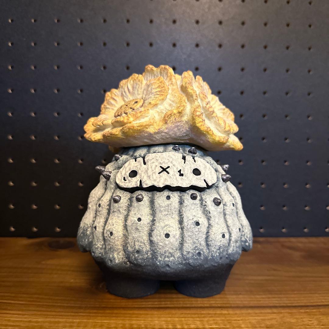 羅本製所 COPIAPOA CINEREA FLOWER SEASON