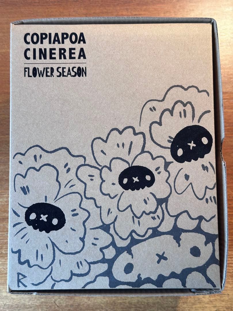 羅本製所 COPIAPOA CINEREA FLOWER SEASON