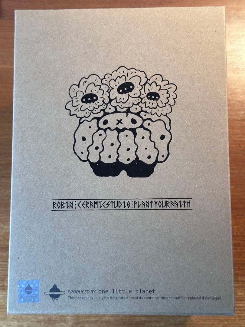 羅本製所 COPIAPOA CINEREA FLOWER SEASON