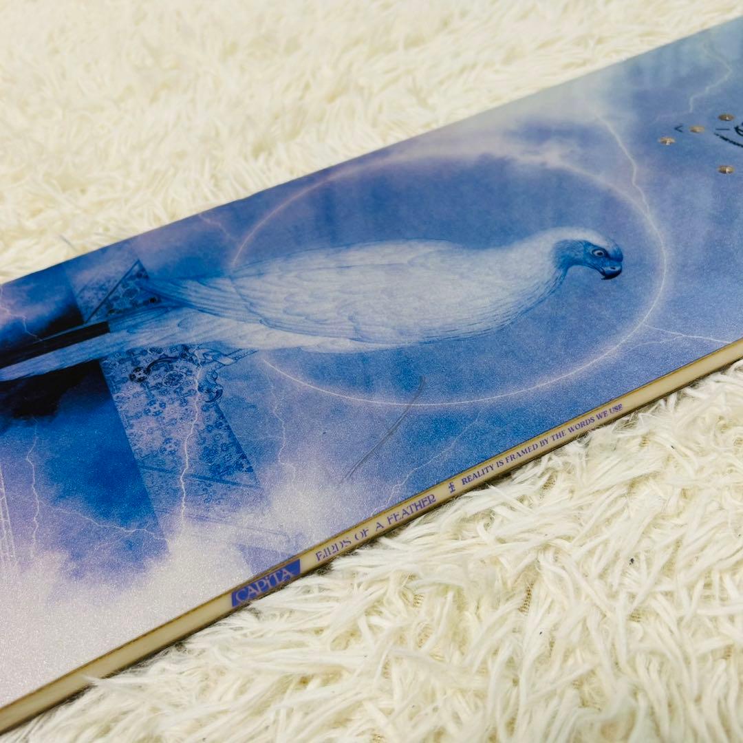 美品！CAPiTA birds of a feather 142