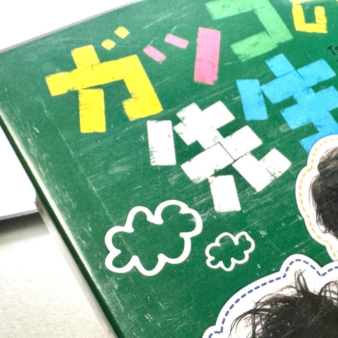 ガッコの先生　DVD　堂本剛　竹内結子　田中直樹　櫻井淳子　いかりや長介　ドラマ