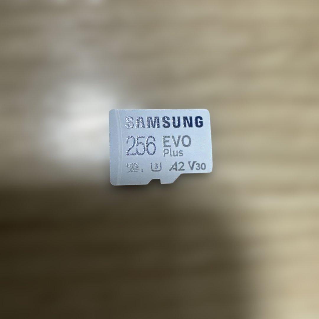 Nintendo Switchグレー、プロコン、リングフィット、SDカード