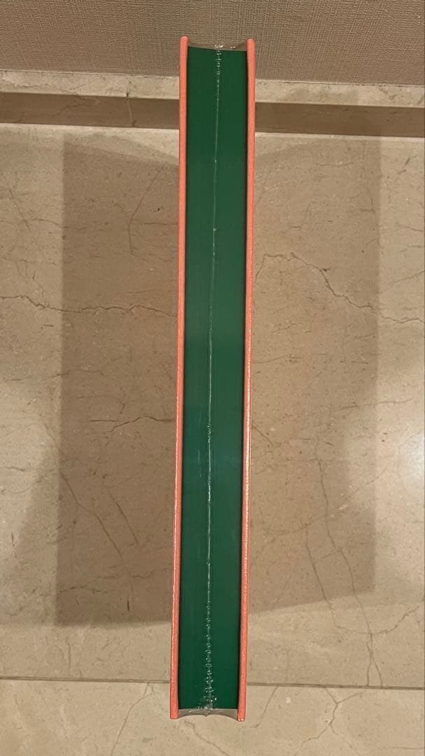 ブルガリカレイドス展 図録 ヴィジュアルブック　BVLGARI KALEIDOS