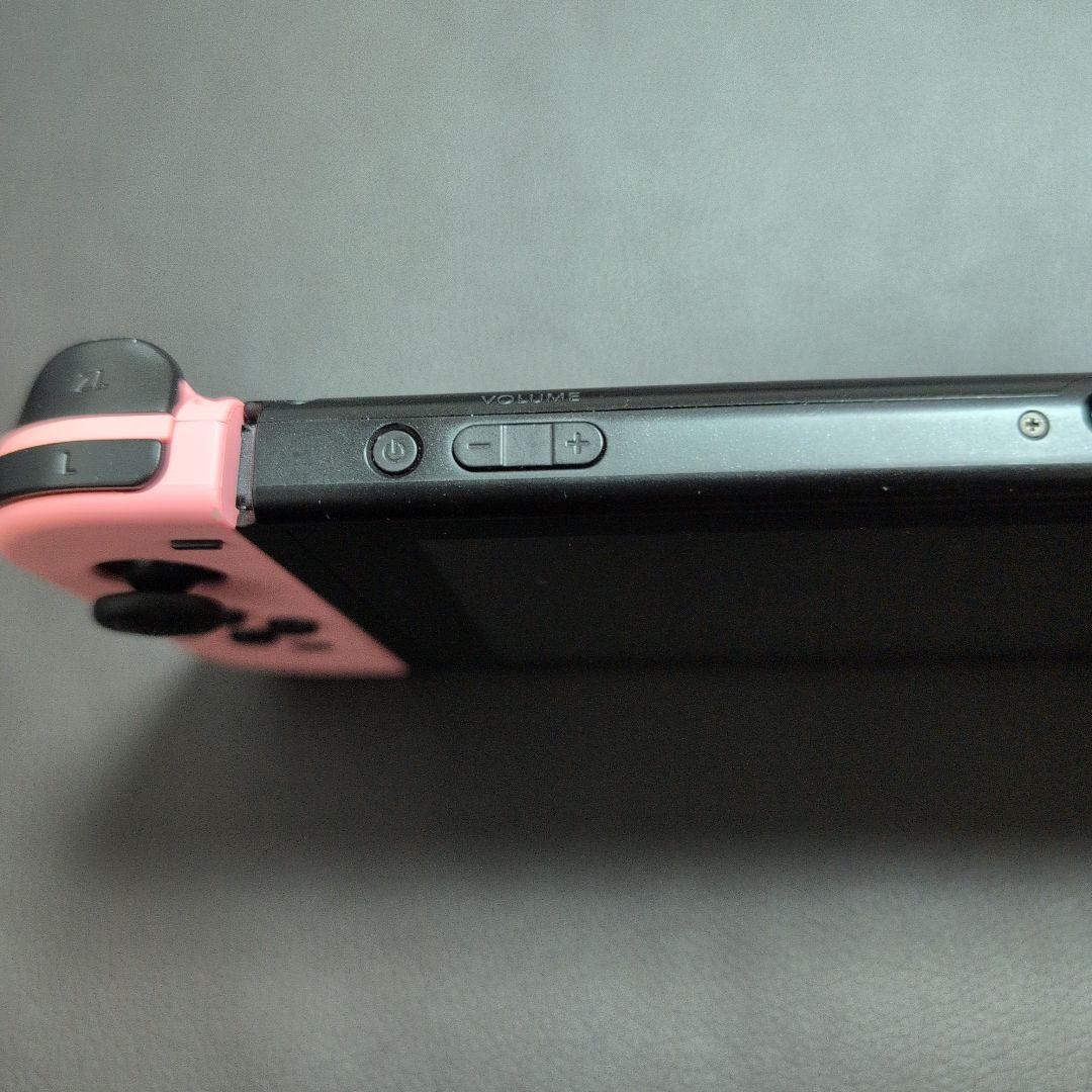 Nintendo Switch あつまれどうぶつの森セット