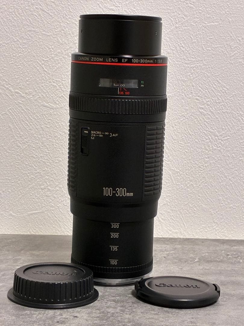 ⭐️外観美品⭐️キャノン Canon EF 100-300mm F5.6 L 望遠