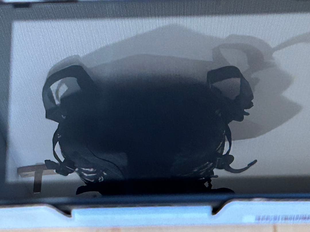 Nintendo Switch ネオンブルー/ネオンレッド 動作確認済み