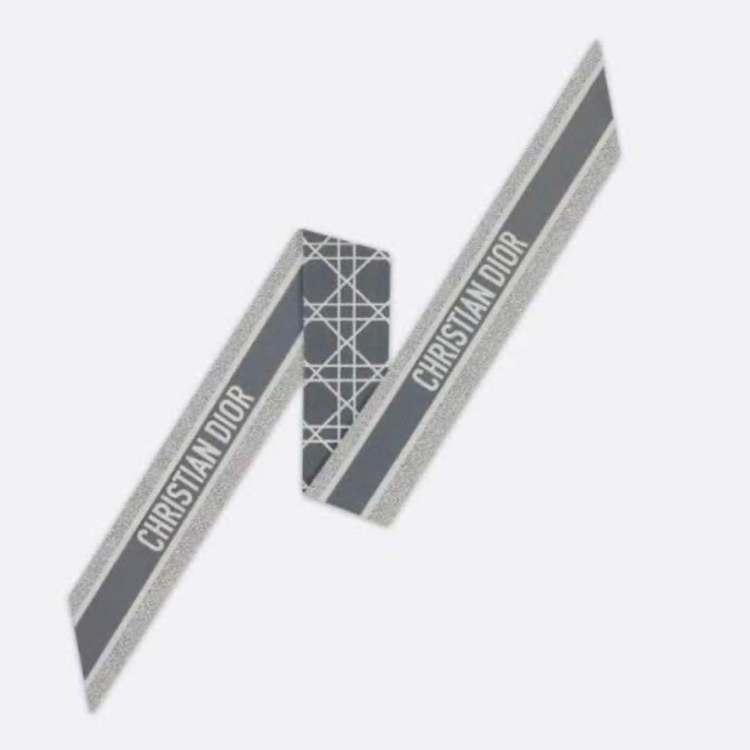 【新品未使用】Dior ミッツァ グレー