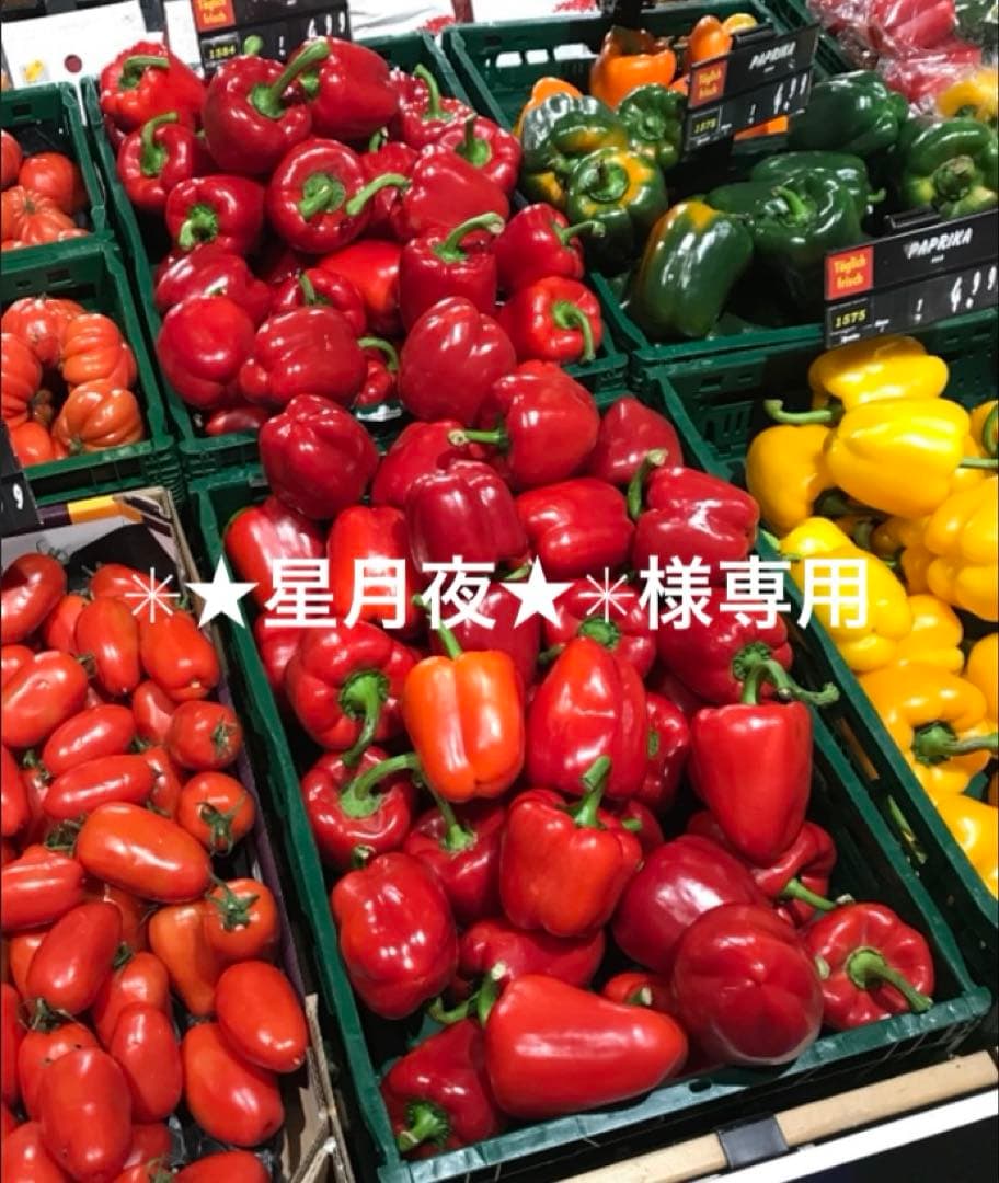 ✳︎⭐︎星月夜⭐︎✳︎（161。796。163）　同梱お値引き込み