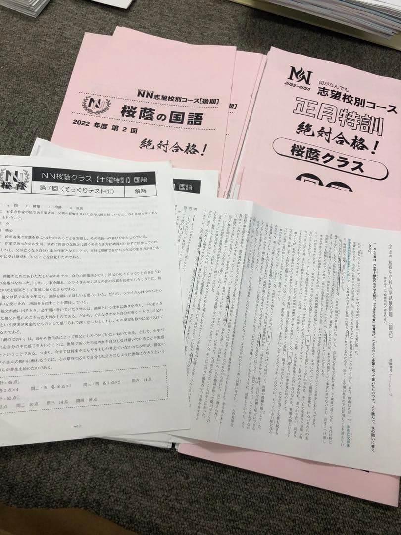 早稲田アカデミー　6年　NN桜蔭 志望校別　後期/正月特訓 2023年受験