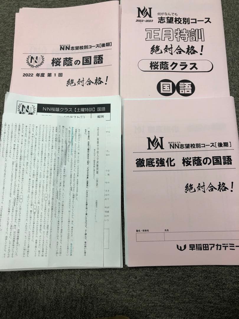 早稲田アカデミー　6年　NN桜蔭 志望校別　後期/正月特訓 2023年受験