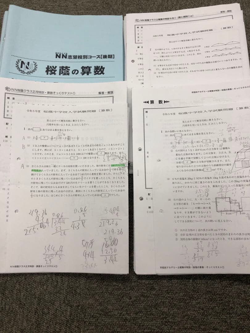 早稲田アカデミー　6年　NN桜蔭 志望校別　後期/正月特訓 2023年受験