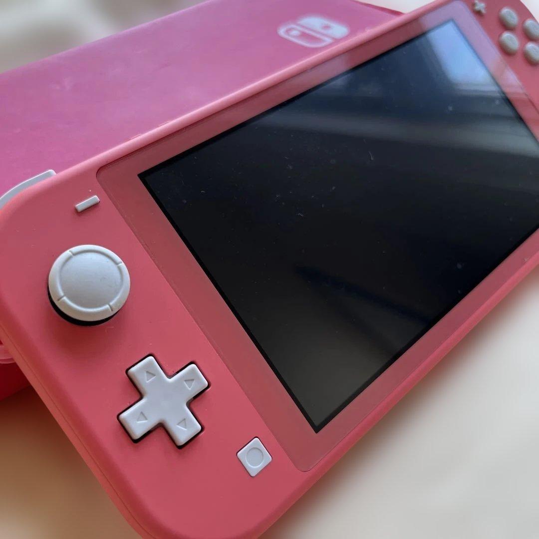 Nintendo Switch Lite 本体とケース　任天堂　箱なし　中古品