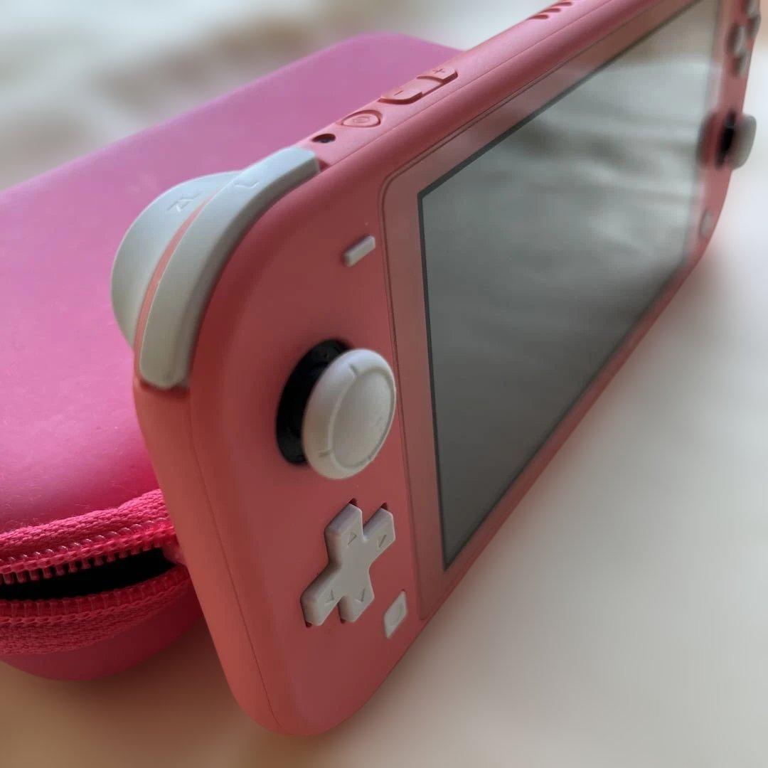 Nintendo Switch Lite 本体とケース　任天堂　箱なし　中古品