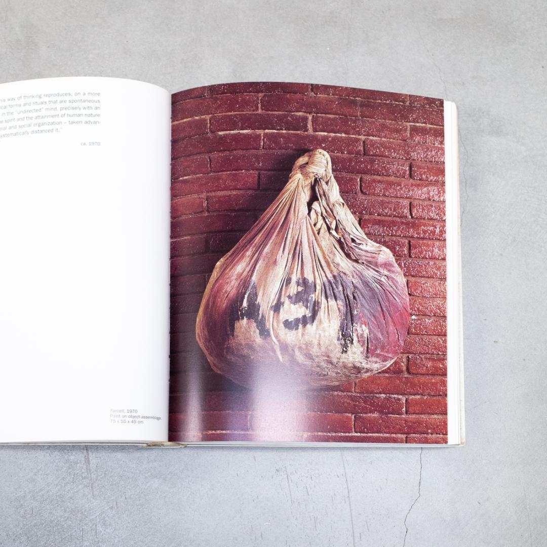 Tapies In Perspective アントニ・タピエス