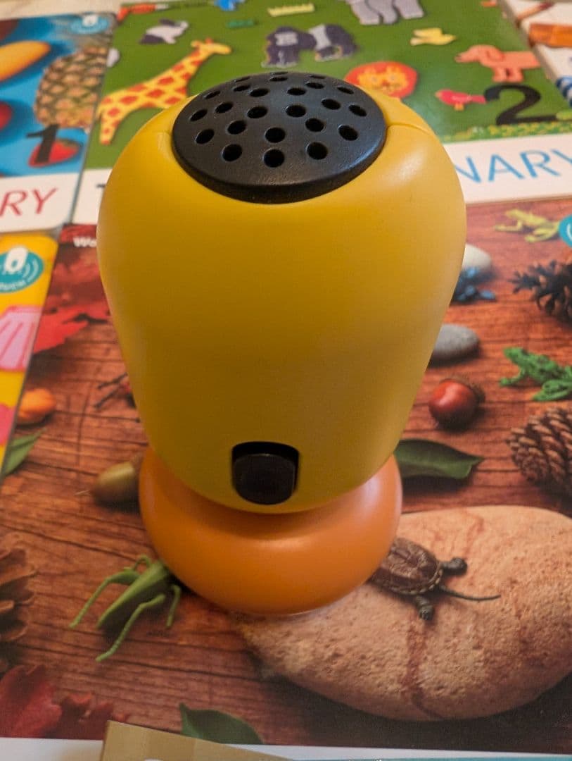 ベネッセ　ワールドワイドキッズセット