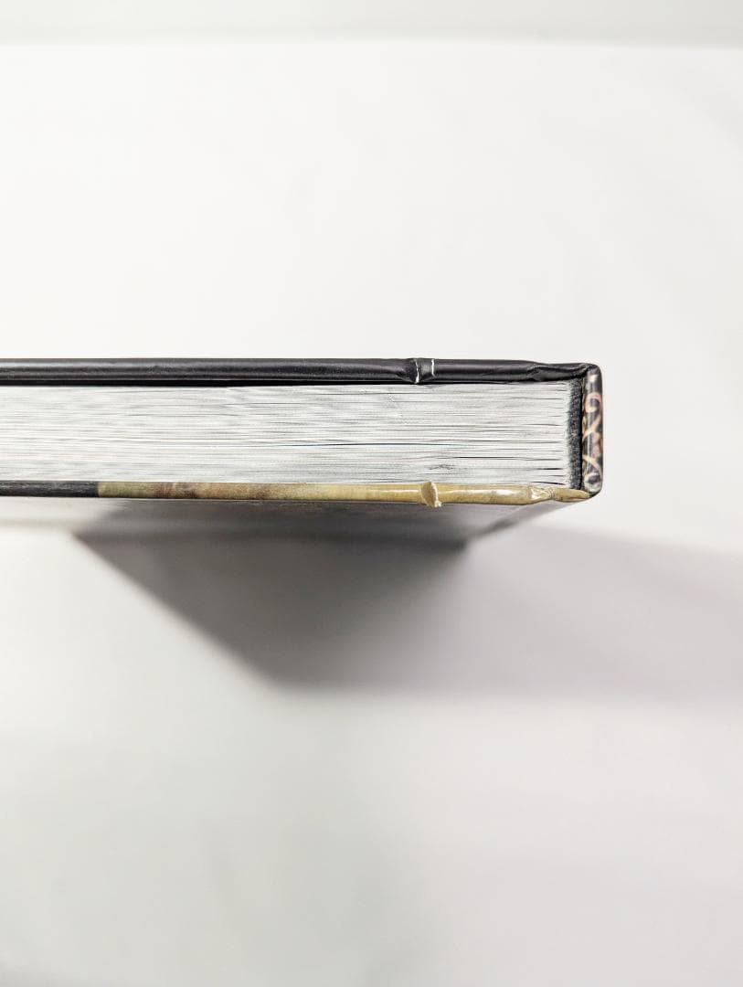 アリスインナイトメア / アリスマッドネスリターンズ 設定画集