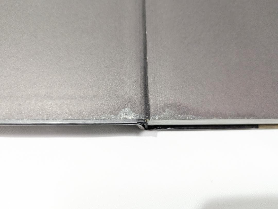 アリスインナイトメア / アリスマッドネスリターンズ 設定画集