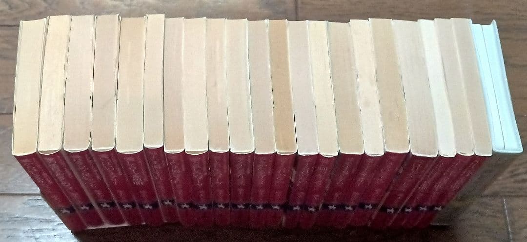 まんが家マリナシリーズ21冊＆ポンペイ狂詩曲　藤本ひとみ