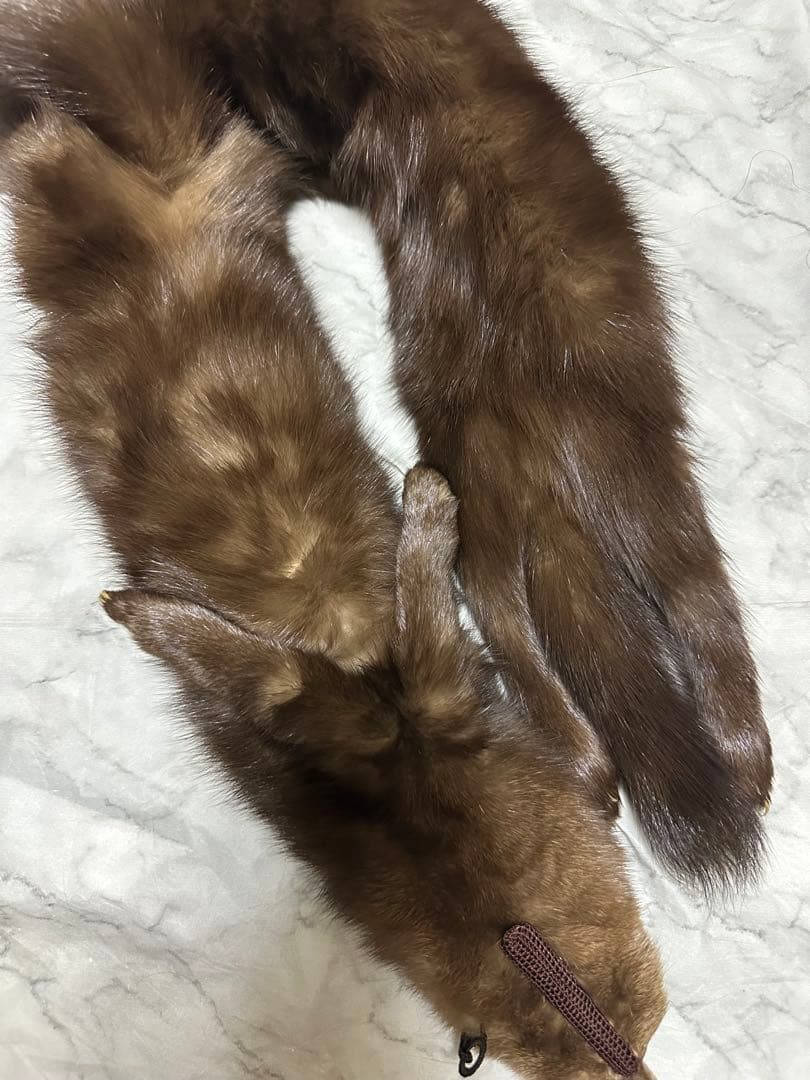 ロシアンセーブル　マフラー　追っかけ