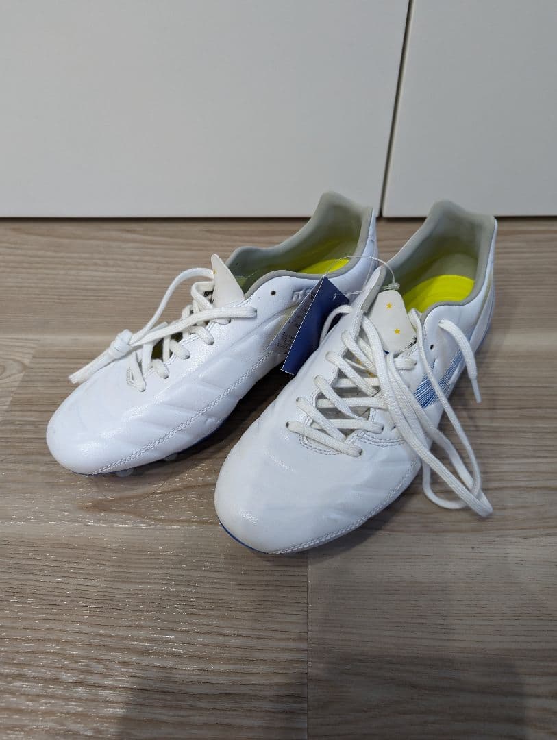 タグ付未使用保管品　25cm ミズノ サッカースパイク レビュラ カップ プロ