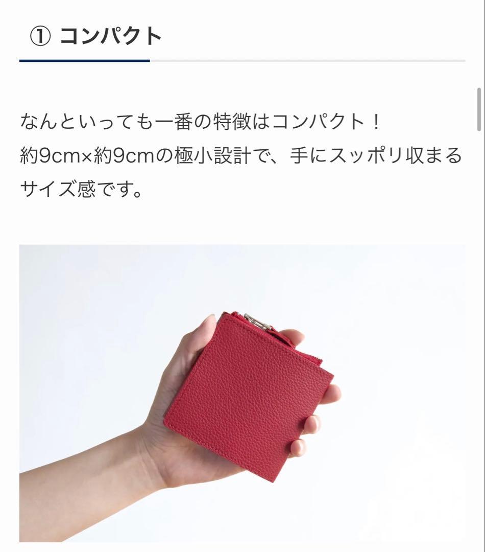 【試着のみ】　新進工房　SINSIN⭐︎キャレ-carreブラック　本革